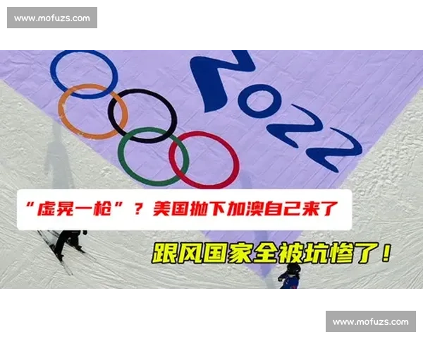 被晃倒的勋章:认真者的注脚